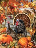 Turkey Birds Paint By Numbers