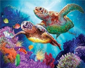 Turtle Couple Paint By Numbers