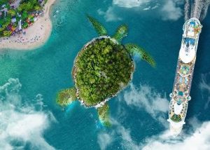 Turtle Island Paint By Numbers