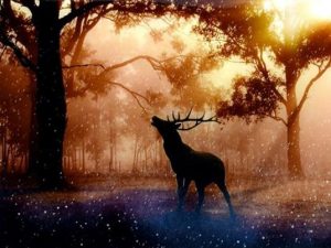 Wild Deer Silhouette Paint By Numbers