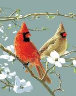 Cardinal Birds Paint By Numbers