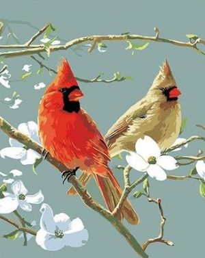 Cardinal Birds Paint By Numbers
