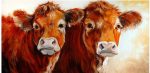 Brown Cows Paint By Numbers