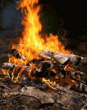 Campfire Flames Paint By Numbers