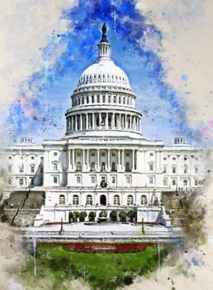 US Capitol Paint By Numbers