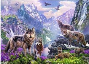 Spring Wolves Animals Paint By Numbers
