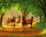 Horses Herd Paint By Numbers