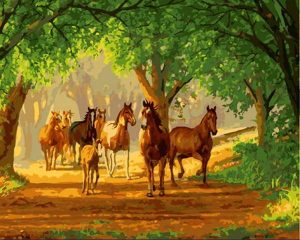 Horses Herd Paint By Numbers