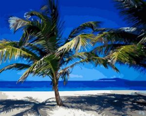 Beach Palms Paint By Numbers