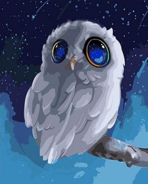 White Owl Bird Paint By Numbers