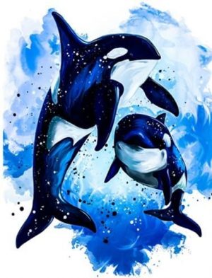 Two Orcas Paint By Numbers