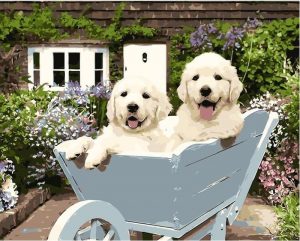 White Dogs paint by numbers