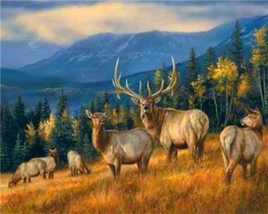 Wild Deer Herd Paint By Numbers