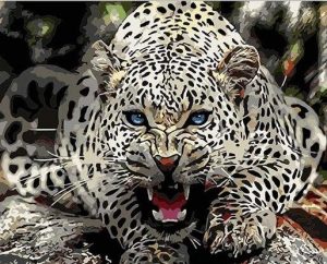 Wild Blue Eyed Jaguar Animals Paint By Numbers