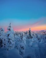Sunset Snow Trees Paint By Numbers