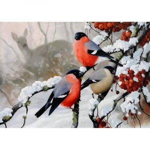 Winter Bullfinch Paint By Numbers