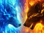 Fire And Ice Wolf Paint By Numbers
