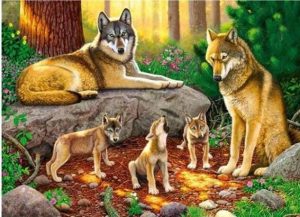 Wolf Family Paint By Numbers