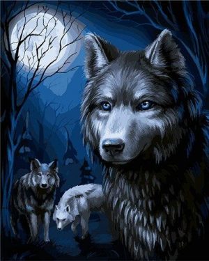 Wolf Family Paint By Numbers