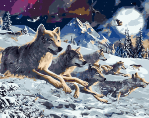 Siberian Wolves Paint By Numbers