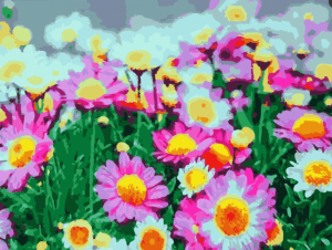 Pink Blossom Flowers Paint By Numbers