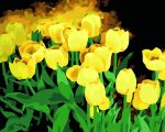 Yellow Tulip Flowers Paint By Numbers