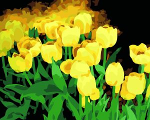 Yellow Tulip Flowers Paint By Numbers