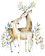 Male And Female Deer Paint By Numbers