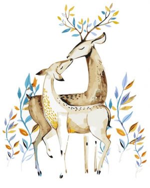 Male And Female Deer Paint By Numbers