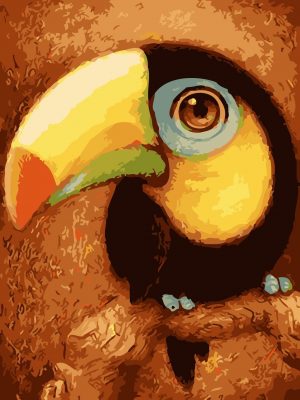 Baby Toucan Paint By Numbers