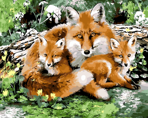 Wild Fox Family Paint By Numbers