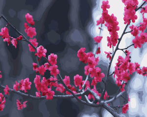 Pink Blossoms Paint By Numbers