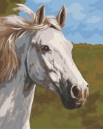 White Horse Paint By Numbers