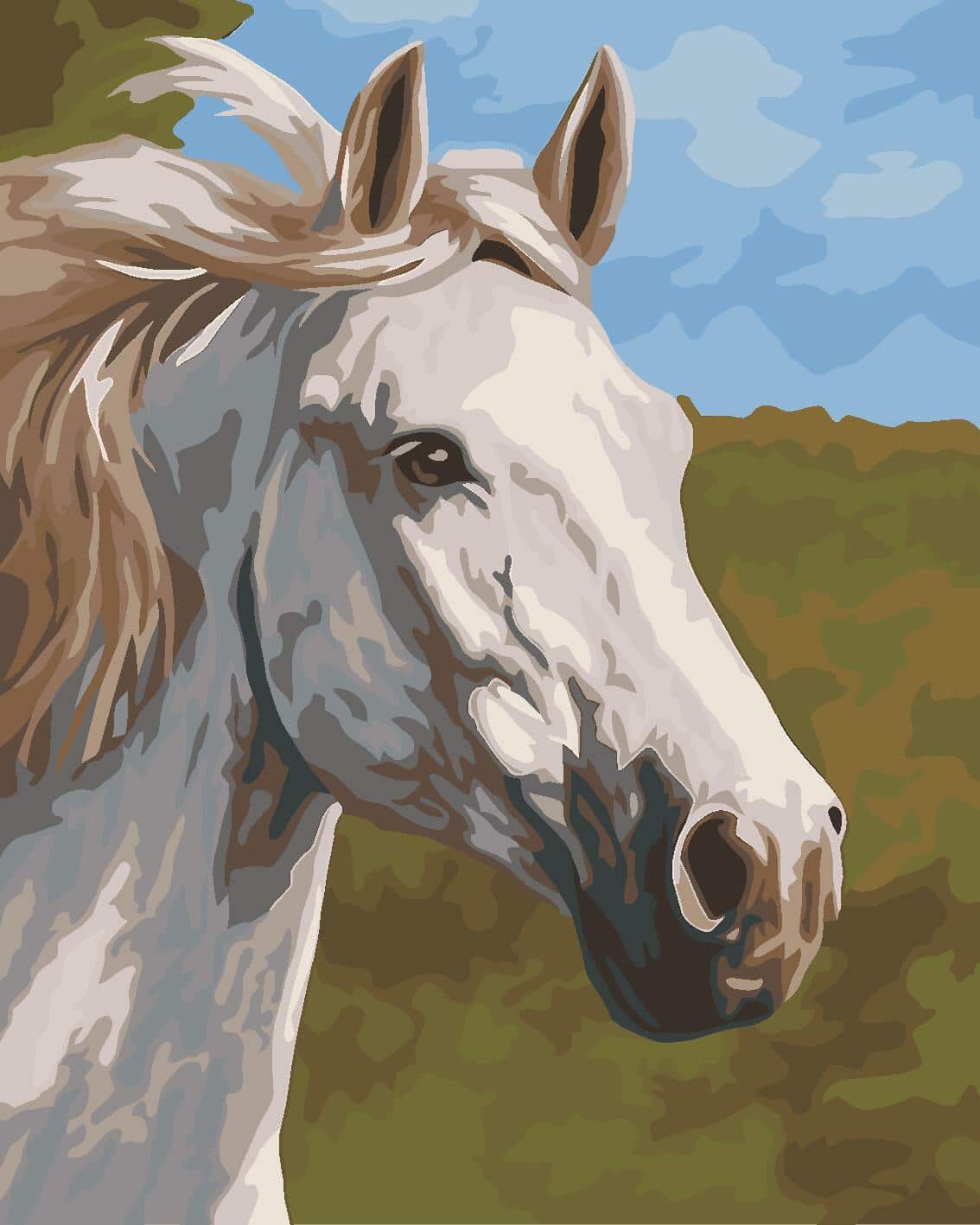 White Horse Paint By Numbers