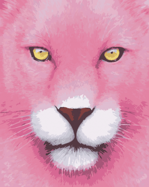 The Pink Panther Paint By Numbers