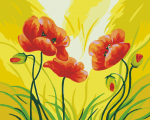 Poppies Flowers Paint By Numbers