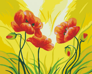 Poppies Flowers Paint By Numbers