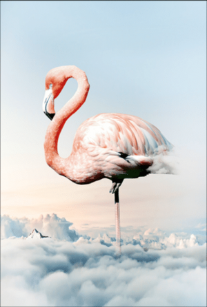 Flamingo Above Clouds Paint By Numbers