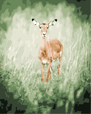 Wild Impala Paint By Numbers