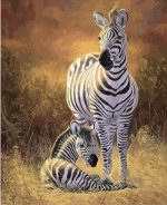 Wild Zebras Paint By Numbers