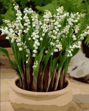 Lily of the Valley Paint By Numbers
