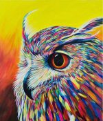 Colorful Owl Paint By Numbers