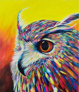 Colorful Owl Paint By Numbers