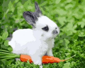Bunny And Carrot Paint By Numbers