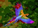 Colorful Macaw Flying Paint By Numbers
