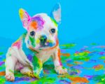 Colorful Bulldog Paint By Numbers