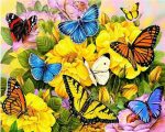 Butterflies And Flowers Paint By Numbers