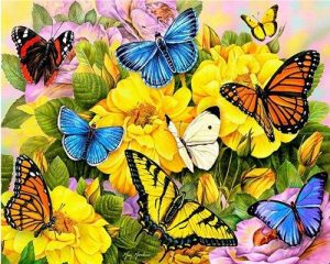 Butterflies And Flowers Paint By Numbers