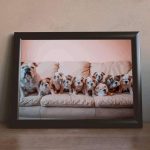 Paint by numbers custom photo