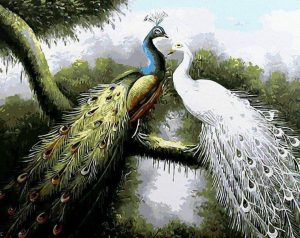 Peacock Couple Paint By Numbers